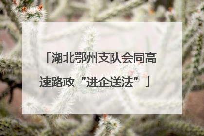 湖北鄂州支队会同高速路政“进企送法”