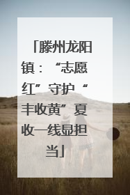 滕州龙阳镇：“志愿红”守护“丰收黄”夏收一线显担当