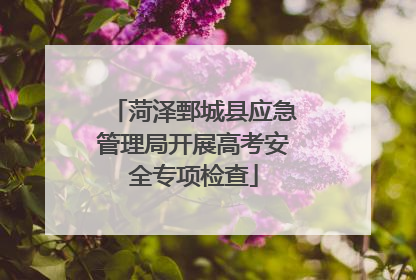 菏泽鄄城县应急管理局开展高考安全专项检查