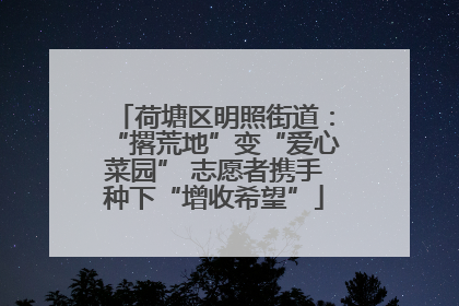 荷塘区明照街道：“撂荒地”变“爱心菜园” 志愿者携手种下“增收希望”