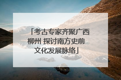 考古专家齐聚广西柳州 探讨南方史前文化发展脉络