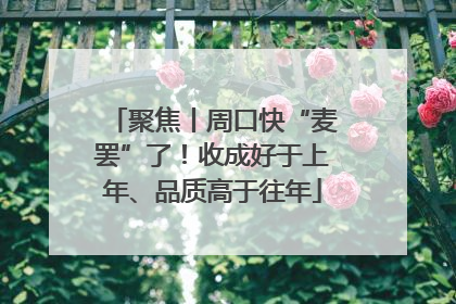 聚焦丨周口快“麦罢”了！收成好于上年、品质高于往年