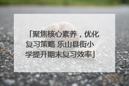 聚焦核心素养，优化复习策略 乐山县街小学提升期末复习效率