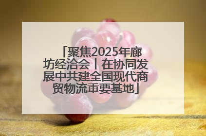 聚焦2025年廊坊经洽会丨在协同发展中共建全国现代商贸物流重要基地