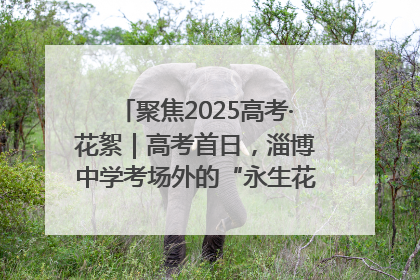 聚焦2025高考·花絮｜高考首日，淄博中学考场外的“永生花”传递温暖与祝福