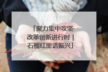 聚力集中攻坚·改革创新进行时｜石榴红里话振兴