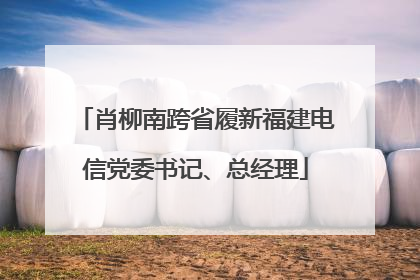 肖柳南跨省履新福建电信党委书记、总经理