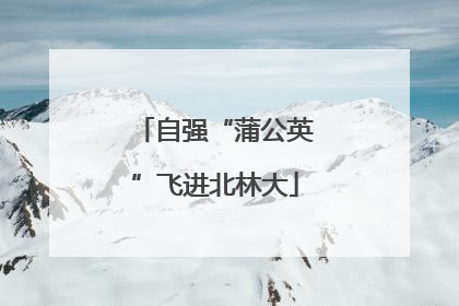 自强“蒲公英”飞进北林大