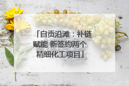 自贡沿滩：补链赋能 新签约两个精细化工项目