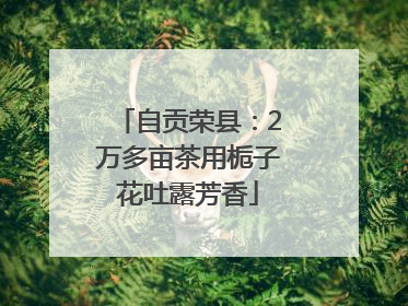 自贡荣县：2万多亩茶用栀子花吐露芳香