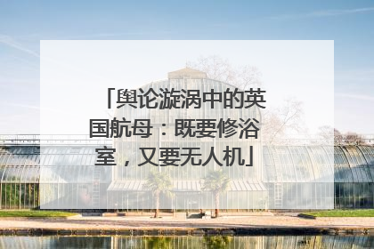 舆论漩涡中的英国航母：既要修浴室，又要无人机