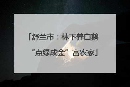 舒兰市：林下养白鹅 “点绿成金”富农家