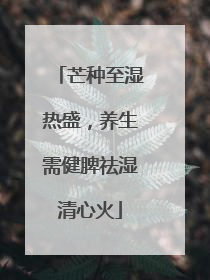芒种至湿热盛，养生需健脾祛湿清心火