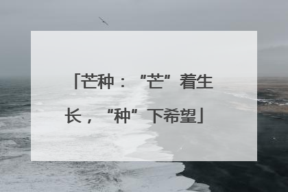 芒种：“芒”着生长，“种”下希望
