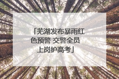 芜湖发布暴雨红色预警 交警全员上岗护高考