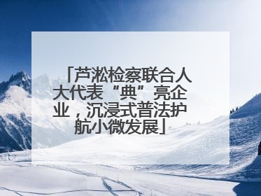 芦淞检察联合人大代表“典”亮企业，沉浸式普法护航小微发展