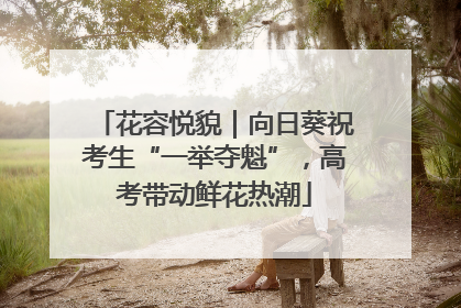 花容悦貌｜向日葵祝考生“一举夺魁”，高考带动鲜花热潮