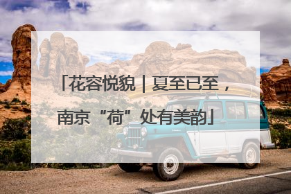 花容悦貌｜夏至已至，南京“荷”处有美韵