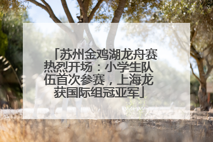 苏州金鸡湖龙舟赛热烈开场：小学生队伍首次参赛，上海龙获国际组冠亚军
