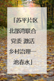 苏平片区北部湾联合党委 激活乡村治理一池春水