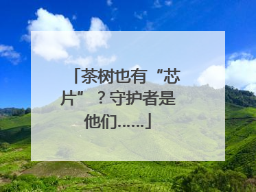 茶树也有“芯片”？守护者是他们……