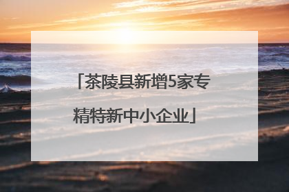 茶陵县新增5家专精特新中小企业