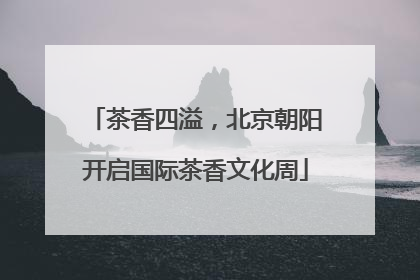茶香四溢，北京朝阳开启国际茶香文化周
