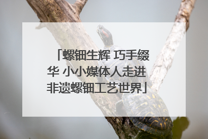 螺钿生辉 巧手缀华 小小媒体人走进非遗螺钿工艺世界