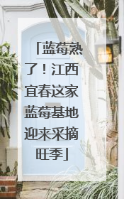 蓝莓熟了！江西宜春这家蓝莓基地迎来采摘旺季