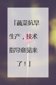 蔬菜抗旱生产，技术指导意见来了！
