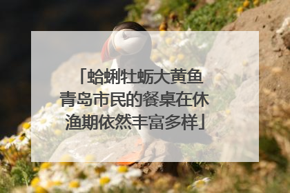 蛤蜊牡蛎大黄鱼 青岛市民的餐桌在休渔期依然丰富多样