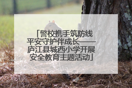 警校携手筑防线 平安守护伴成长——庐江县城西小学开展安全教育主题活动
