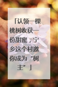 认领一棵桃树收获一份甜蜜，宁乡这个村邀你成为“树主”