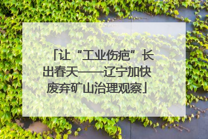 让“工业伤疤”长出春天——辽宁加快废弃矿山治理观察