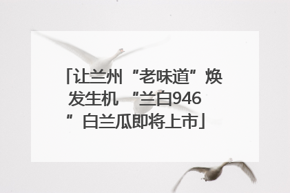 让兰州“老味道”焕发生机 “兰白946”白兰瓜即将上市