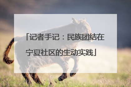 记者手记：民族团结在宁夏社区的生动实践