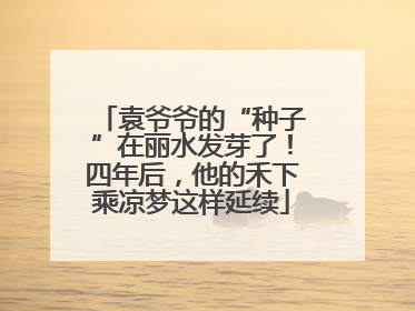 袁爷爷的“种子”在丽水发芽了！四年后，他的禾下乘凉梦这样延续