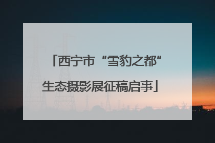 西宁市“雪豹之都”生态摄影展征稿启事