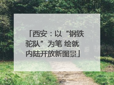 西安：以“钢铁驼队”为笔 绘就内陆开放新图景