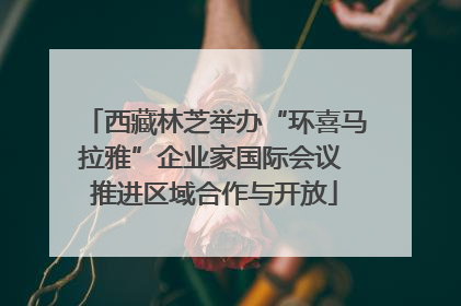西藏林芝举办“环喜马拉雅”企业家国际会议 推进区域合作与开放