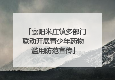 襄阳米庄镇多部门联动开展青少年药物滥用防范宣传
