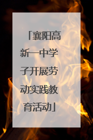 襄阳高新一中学子开展劳动实践教育活动