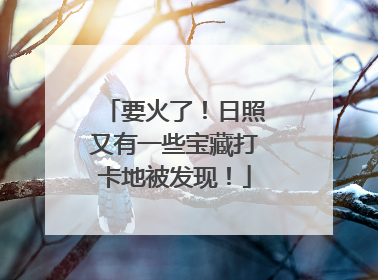 要火了！日照又有一些宝藏打卡地被发现！