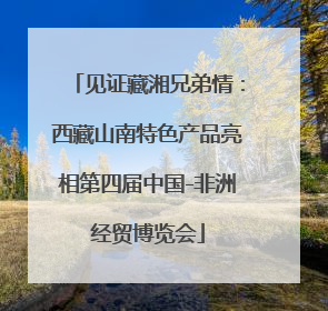 见证藏湘兄弟情：西藏山南特色产品亮相第四届中国-非洲经贸博览会