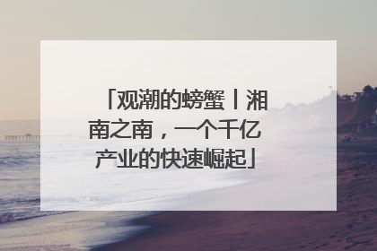 观潮的螃蟹丨湘南之南，一个千亿产业的快速崛起