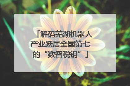 解码芜湖机器人产业跃居全国第七的“数智税钥”