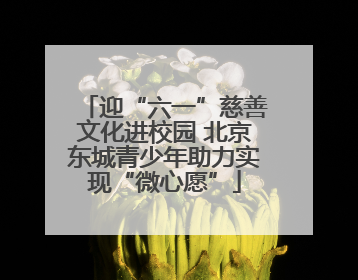 迎“六一”慈善文化进校园 北京东城青少年助力实现“微心愿”