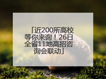 近200所高校等你来询！26日全省11地高招咨询会联动