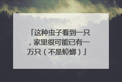 这种虫子看到一只，家里很可能已有一万只（不是蟑螂）