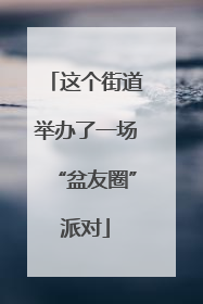 这个街道举办了一场“盆友圈”派对